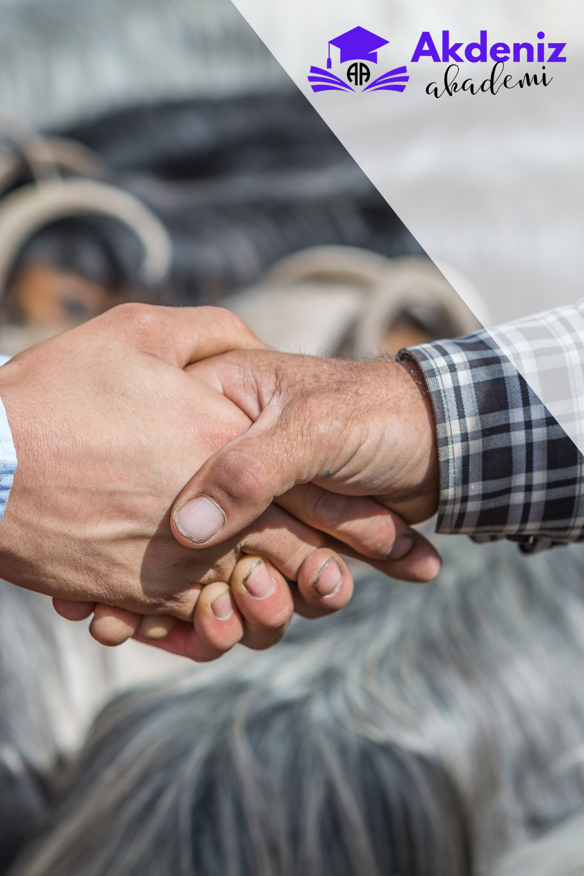 HAYVAN ALIM SATIM ELEMANI EĞİTİMİ